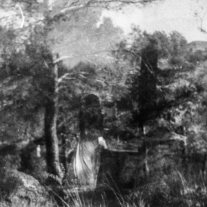 Alone in the Woods